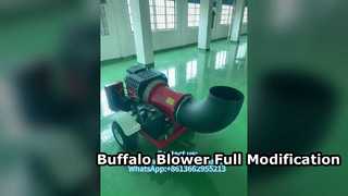 Vollständige Modifikation des Buffalo-Gebläses mit Foxpro-Teilen